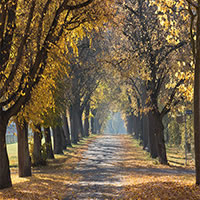/images/packages1/france/juan les pins_parc de la pinede-500.jpg